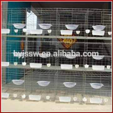 Trade Assurance Pigeon Baskets and Cages For Sale